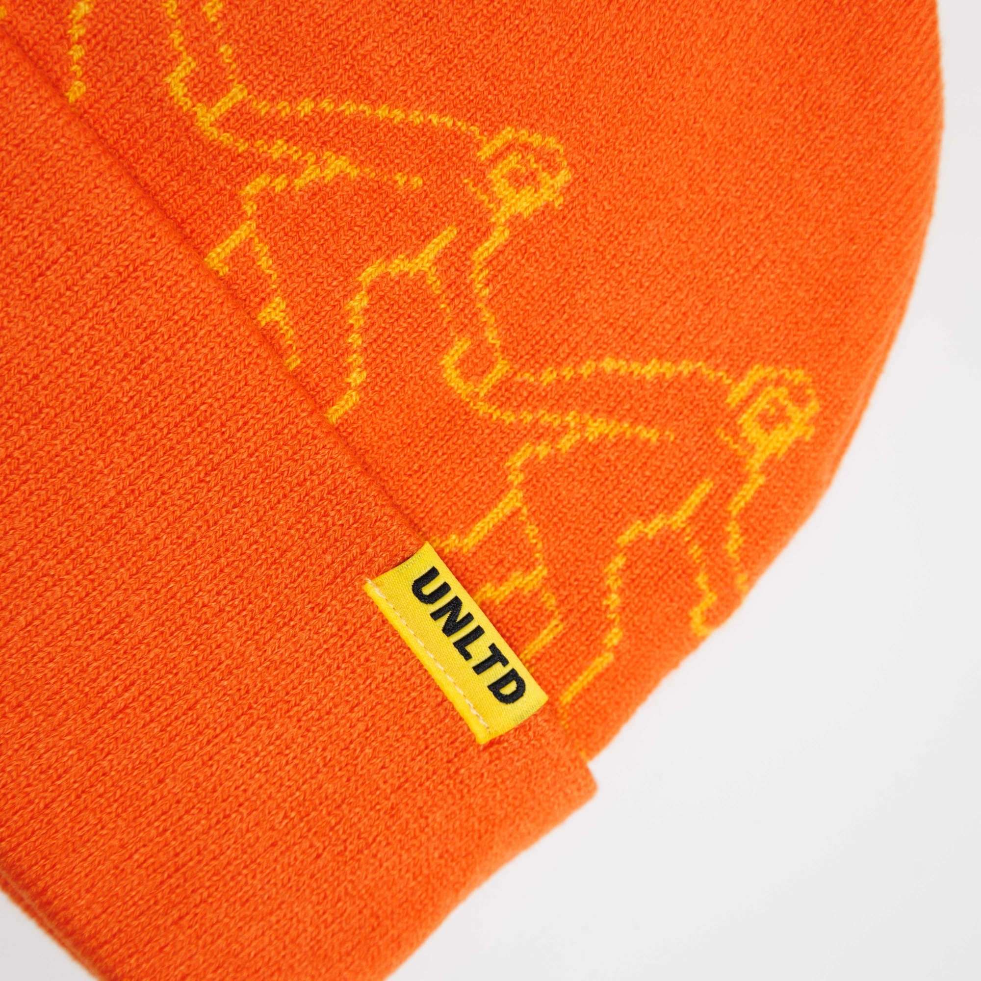 Friends Beanie